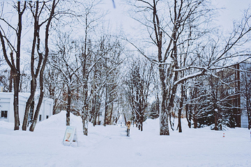 北海道大学第 27 张图片