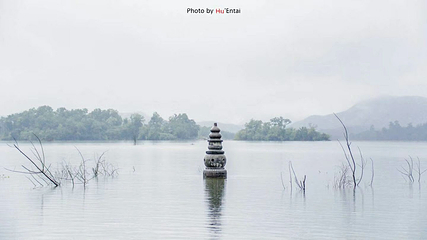 南湾湖风景区第 44 张图片