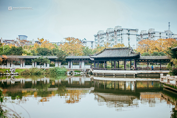 月湖公园第 4 张图片