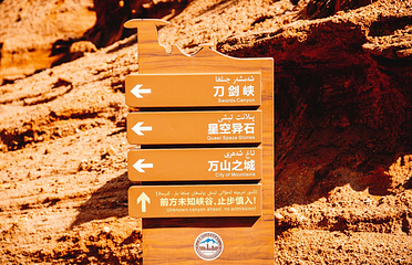 新疆托木尔峰国家级自然保护区第 14 张图片