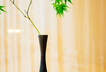 苏州本色美术馆第 6 张图片