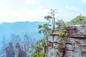 天子山风景区第 23 张图片