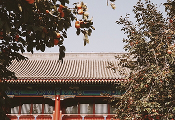 北京石刻艺术博物馆第 26 张图片