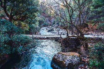 尼汝村第 6 张图片