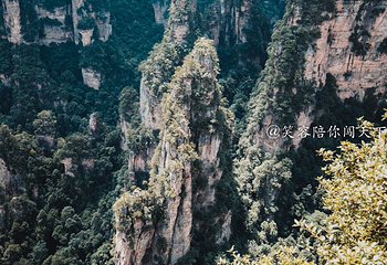 袁家界景区第 38 张图片