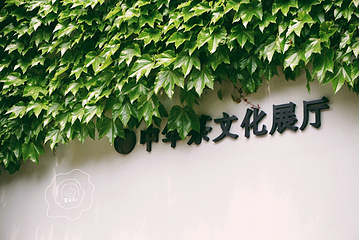中国茶叶博物馆第 25 张图片