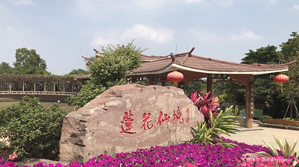 莲花山旅游区-莲花仙境第 1 张图片