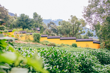 杭州永福寺第 12 张图片