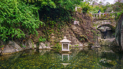 厦门园林植物园-五老峰第 8 张图片