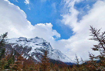 四姑娘山双桥沟景区第 76 张图片