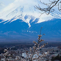 新仓山浅间公园