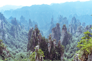 天子山风景区第 7 张图片