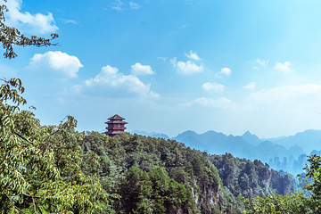 天子山风景区第 10 张图片
