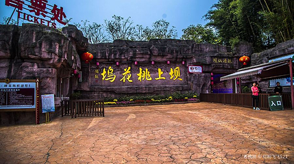 桃花坞玻璃桥第 1 张图片
