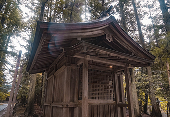 弥彦神社第 6 张图片