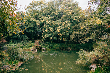 杭州花圃第 13 张图片