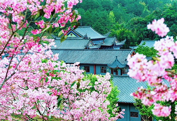 东华禅寺第 9 张图片