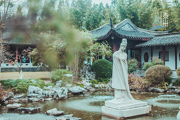 凤城河梅园第 16 张图片