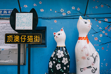 顶澳仔猫街第 32 张图片