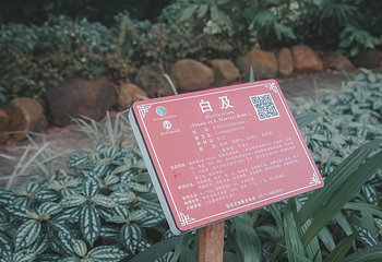 广西药用植物园第 12 张图片