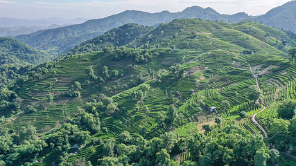 杨梅岭村第 7 张图片
