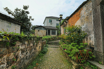 山沟沟景区第 18 张图片