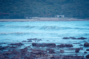 小东海第 35 张图片