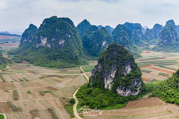 白头叶猴生态旅游区第 6 张图片