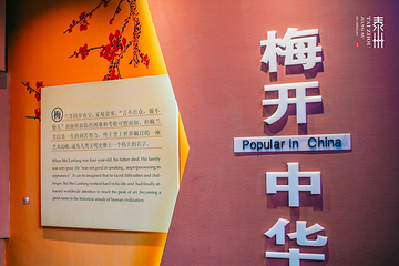 凤城河梅园第 21 张图片