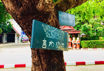 清迈古城第 99 张图片