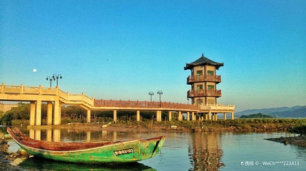 惠东湿地公园第 1 张图片