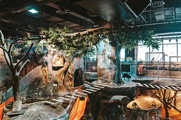 ZoolungZoolung萌宠游乐园(上海第一八佰伴店)第 1 张图片