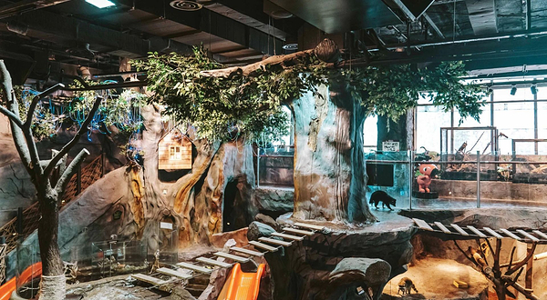 ZoolungZoolung萌宠游乐园(上海第一八佰伴店)