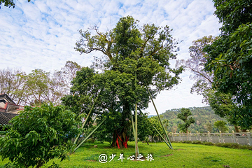 国恩寺第 9 张图片