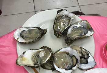 白沙湾海水浴场第 16 张图片