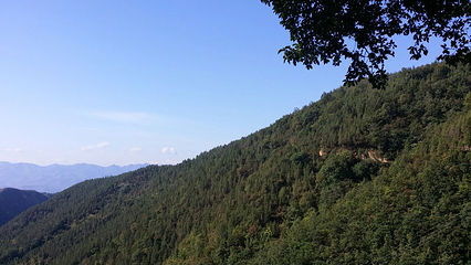 荆紫关法海寺第 9 张图片