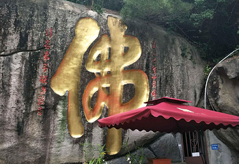 厦门园林植物园-五老峰第 25 张图片