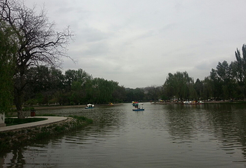小西湖公园第 20 张图片