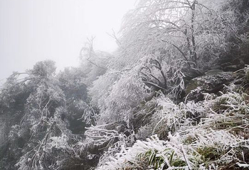 南宁大明山风景旅游区第 52 张图片