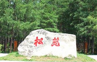 松苑公园第 10 张图片