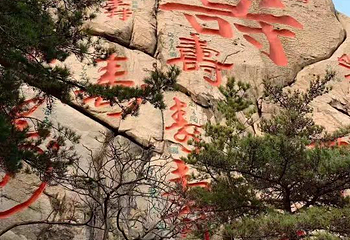会场赶海园第 24 张图片