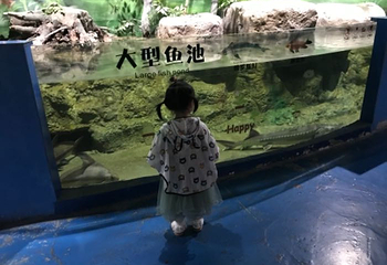 安庆海昌海洋探索馆第 35 张图片