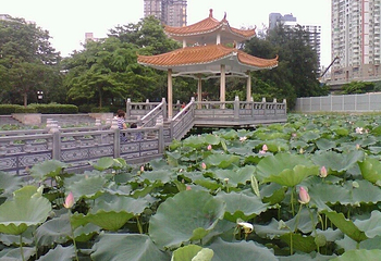 洪湖公园第 5 张图片