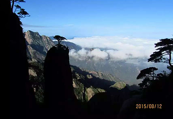 上海至黄山巴士第 5 张图片