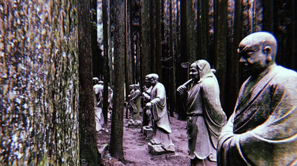 武陵山国家森林公园第 64 张图片