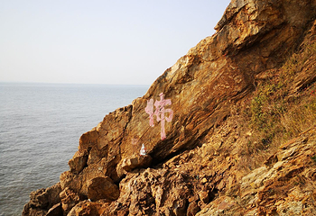 蛤蜊岛第 45 张图片