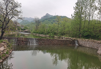 西泰山第 12 张图片