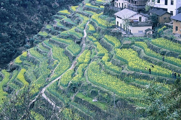 古田山自然保护区第 13 张图片