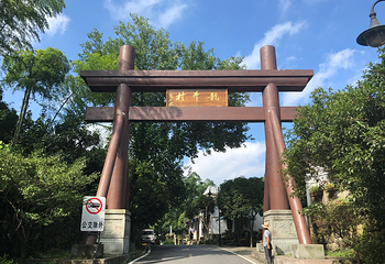 龙井山园茶文化村第 17 张图片