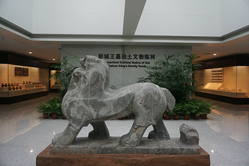 徐州博物馆第 42 张图片